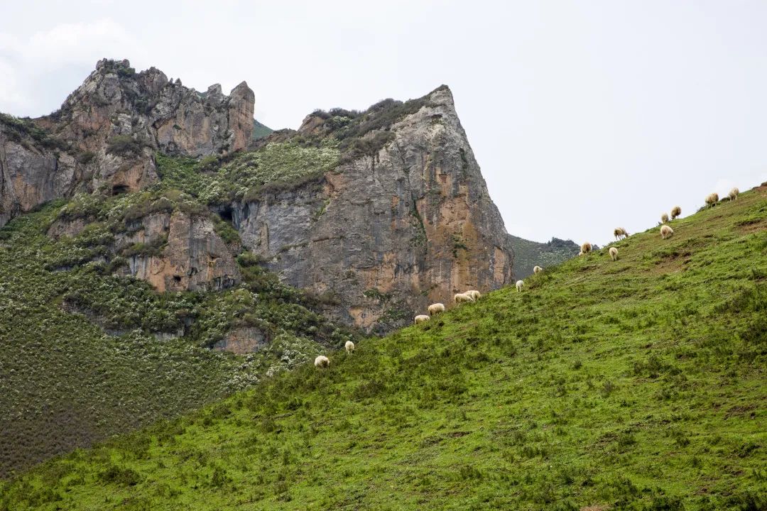 天祝石门沟：高峡平湖藏日月 吟山歌水忘流年