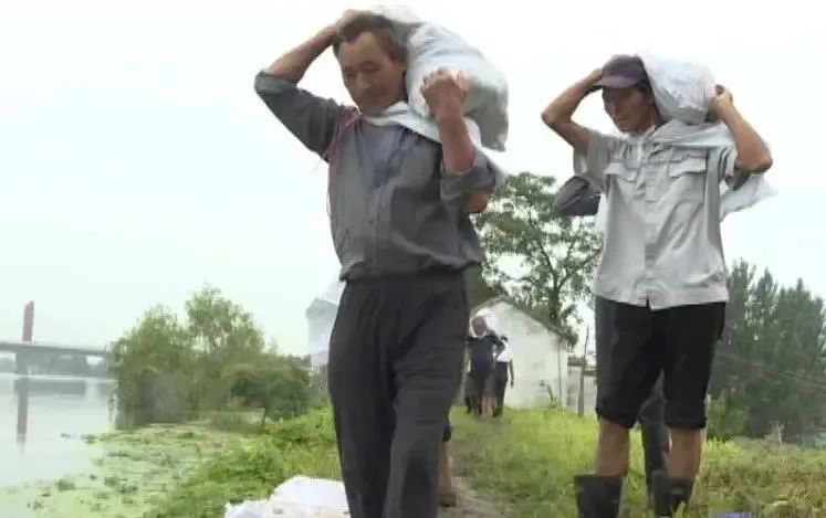 今年含山林头镇地区经济总量_今年世界经济增长