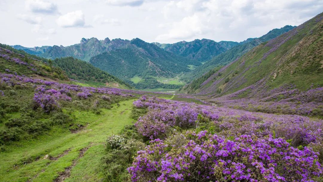 天祝石门沟：高峡平湖藏日月 吟山歌水忘流年