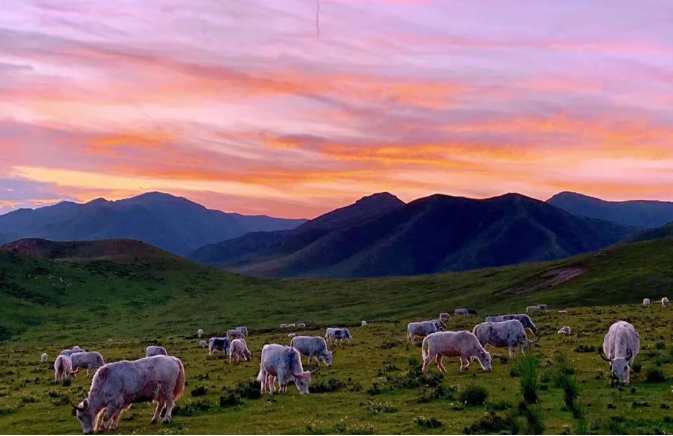 天祝土族《格萨尔》：英雄史诗的另一种诠释