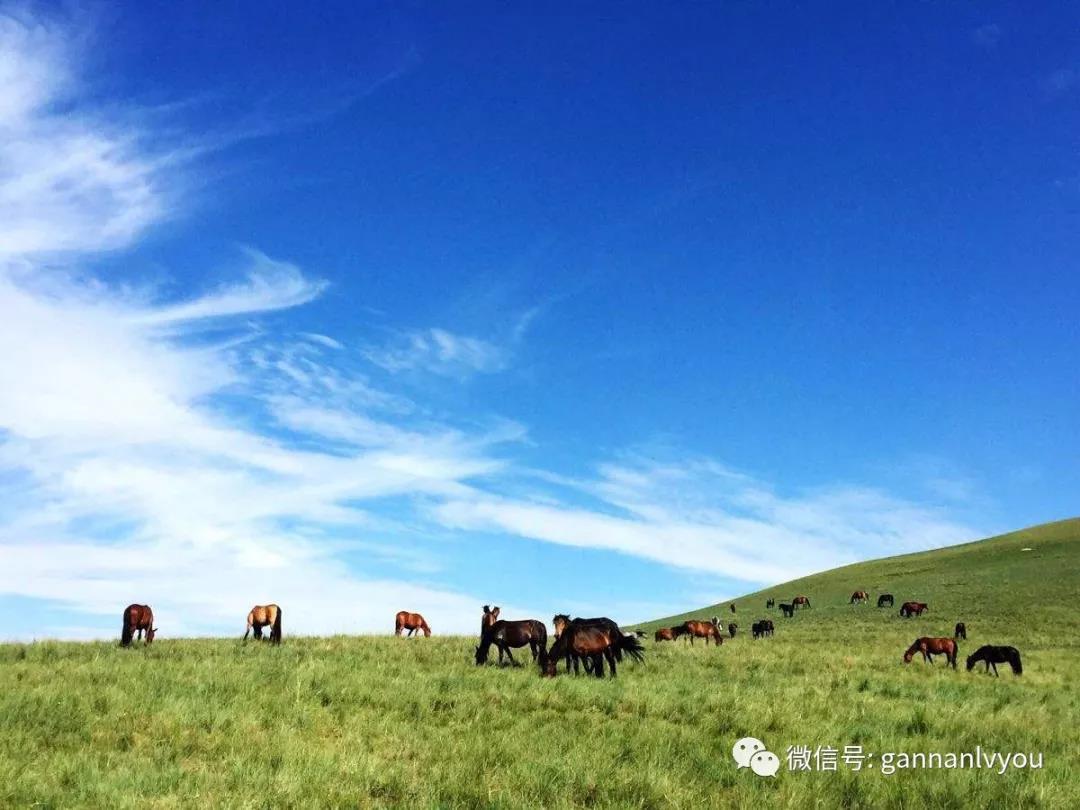 马首是瞻 成语 的 意思 (98) 사진