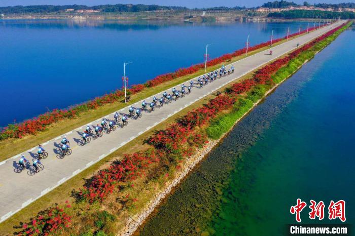 森林城市|广东推进创建全国森林城市建设示范省