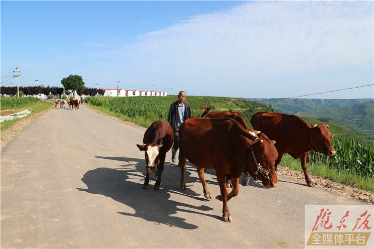 水泥路通门口 龙咀子村大变样