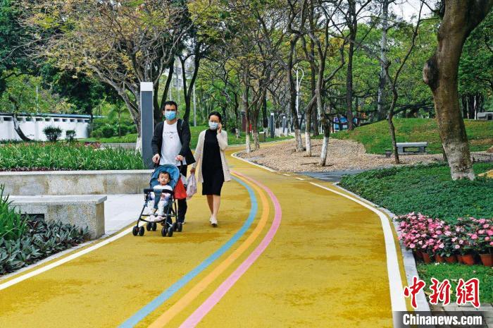 森林城市|广东推进创建全国森林城市建设示范省