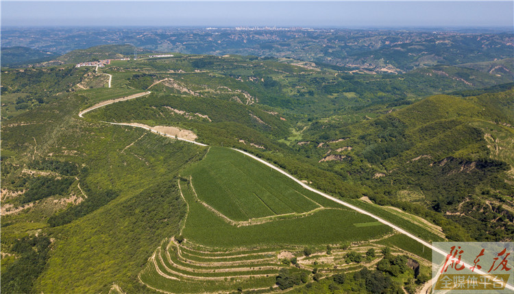 水泥路通门口 龙咀子村大变样