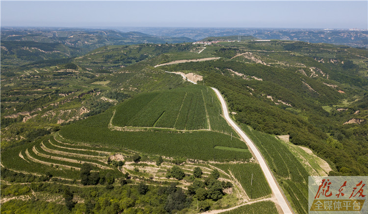 水泥路通门口 龙咀子村大变样