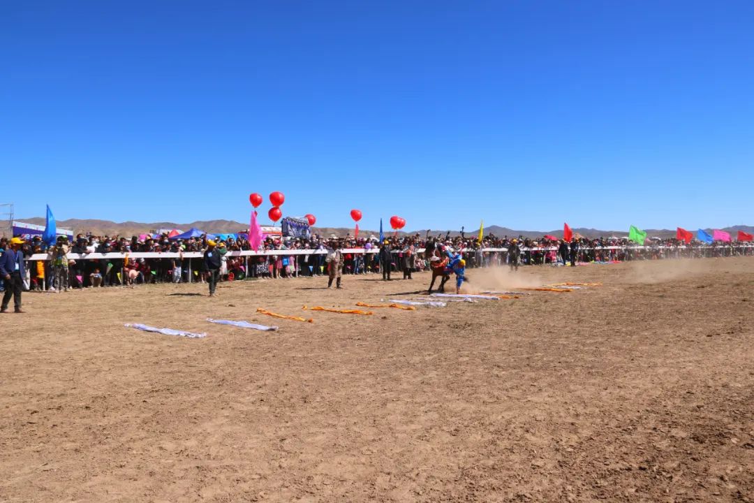 夏日草原，天祝赛马大会盛况空前