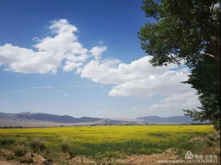 云&middot; 树&middot; 花海