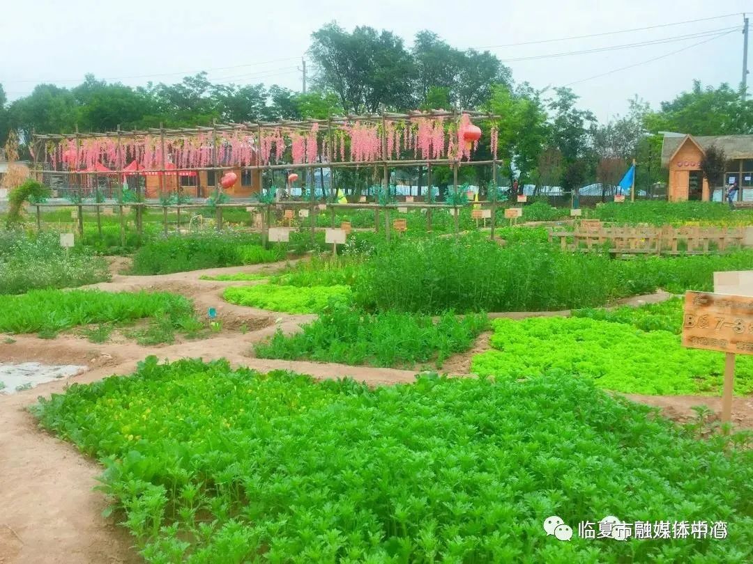 07 折桥镇慈王农庄06 临夏市枹罕镇聂家村海月湾水上乐园05 河州小镇