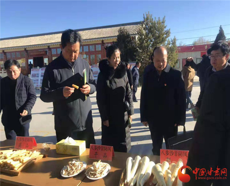 有关领导和客商品尝八步沙“甘防风”