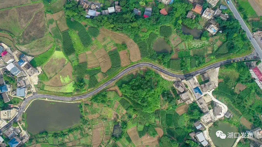 龙山县有多少人口_龙山县地图