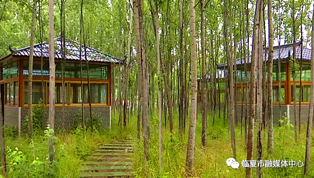 快速通道驱车二十分钟,掩映在红花绿柳之间的海月湾农庄就映入了眼帘