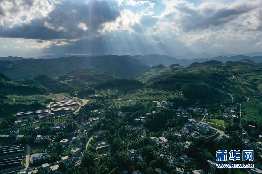 （走向我们的小康生活）（1）贵州海雀村：将绿水青山变成战胜贫困的金山银山