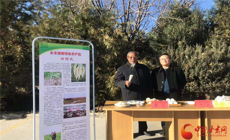 八步沙六老汉之一张润元为八步沙“甘防风”代言