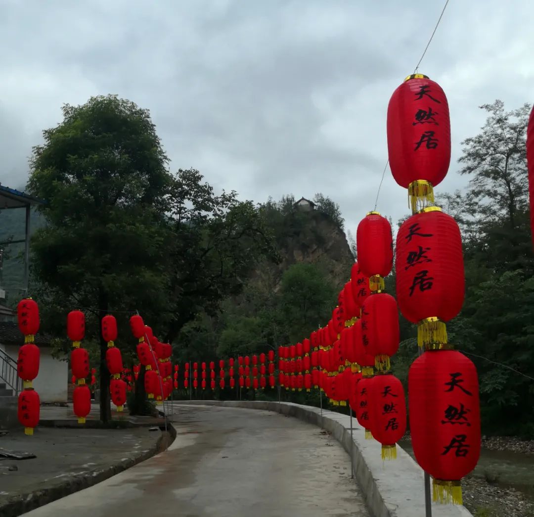 近年来贯上村立足自身实际积极发展特色富民产业截至目前，全村共栽植核桃1000多亩中药材600多亩，养殖中蜂1000多箱村民们的人均纯收入也从几年前的一两千元增长到了如今的六千多元