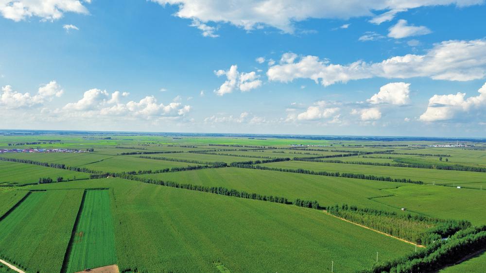 让黑土地"流金淌银" ——松原推动农业高质量发展纪实凤凰网吉林_凤凰