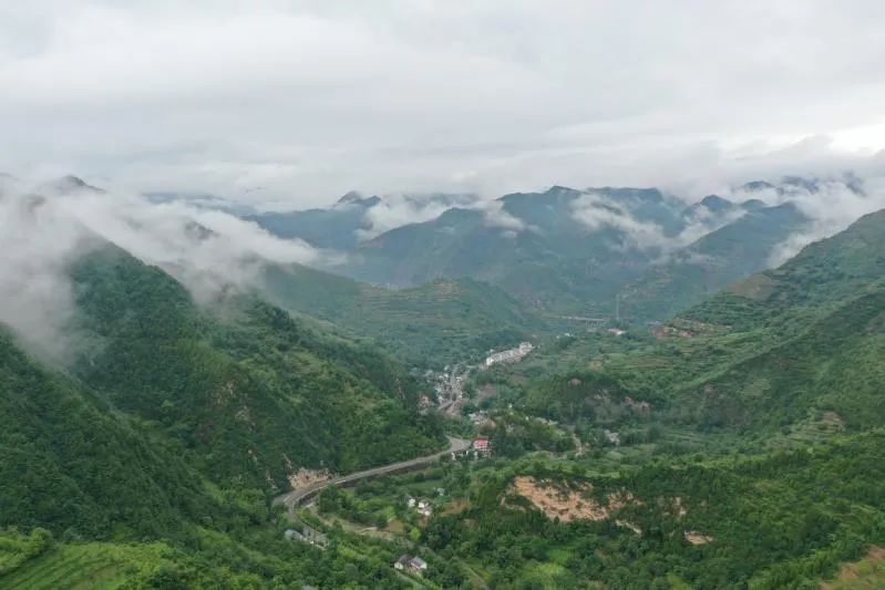 村美民富！陇南贯上村大变样