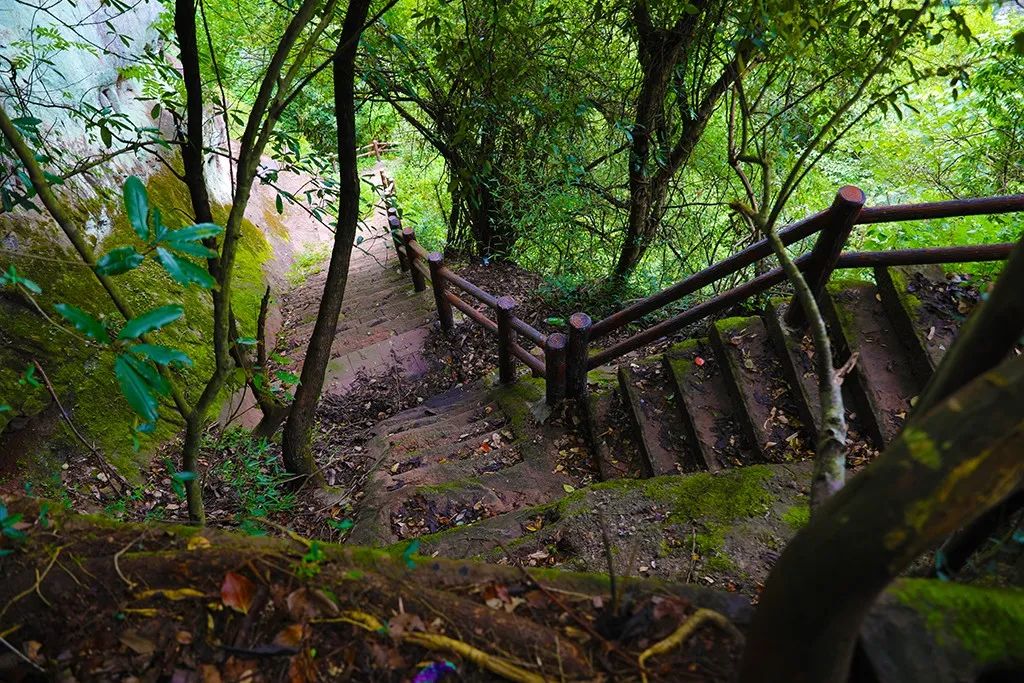 攀登复岩山复岩山是此行中的重要景点,来到渔亭,不上骆驼峰走走,会留