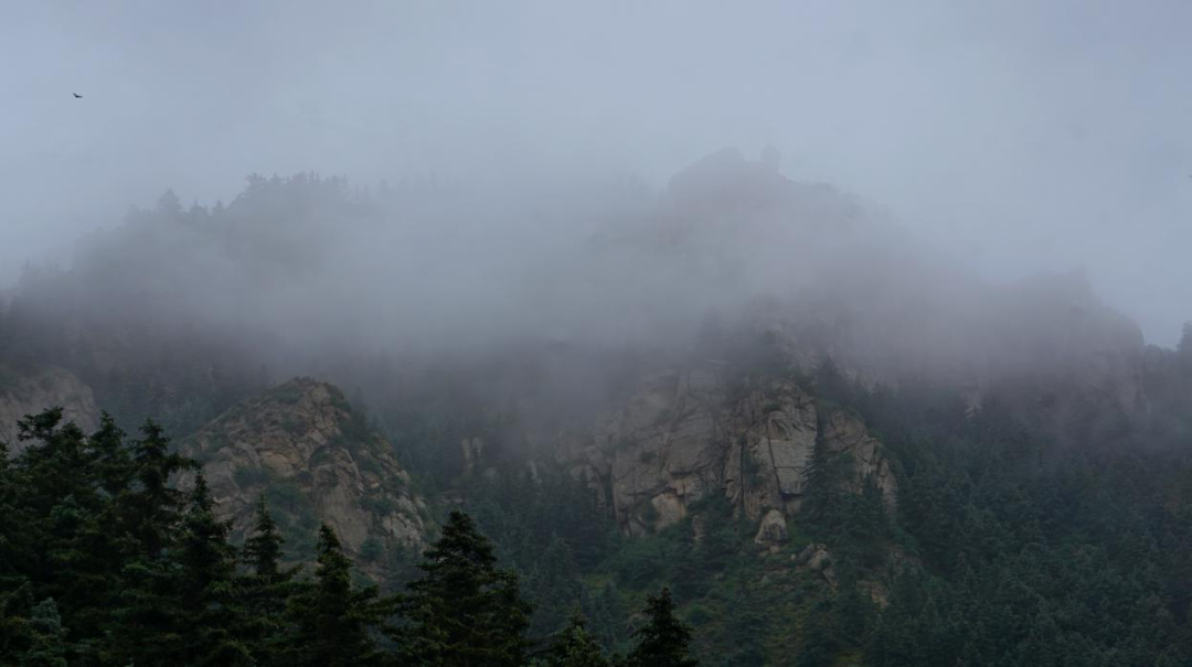 从前有座山叫祁连山 山里有座庙叫云庄寺