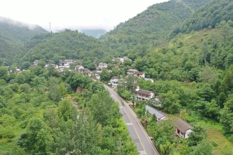 村美民富！陇南贯上村大变样