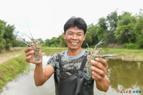 致富经养虾_致富经养河虾_致富经淡水虾养殖视频