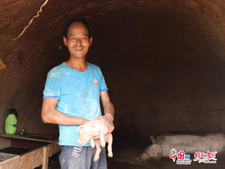 穆柯寨村刘会峰:自力更生勤奋斗 养猪脱贫奔小康