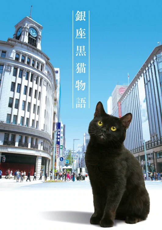 一只黑猫当 饭托 串起银座巷子深处的故事 甘肃频道 凤凰网
