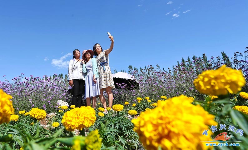 当旗袍佳人邂逅七彩花海画里临泽绽放别样芳华 甘肃频道 凤凰网