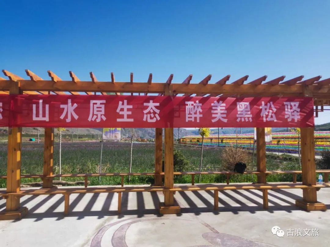 八步沙精神义演活动走进古浪特色旅游小镇黑松驿