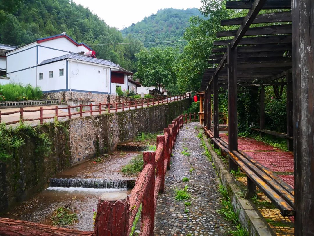 村美民富！陇南贯上村大变样