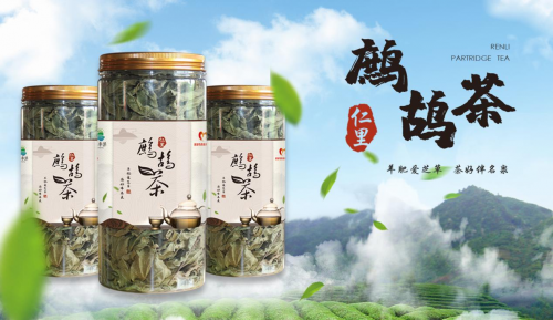 茶中靈芝草仁裡鷓鴣茶生長在火山岩上的仙草