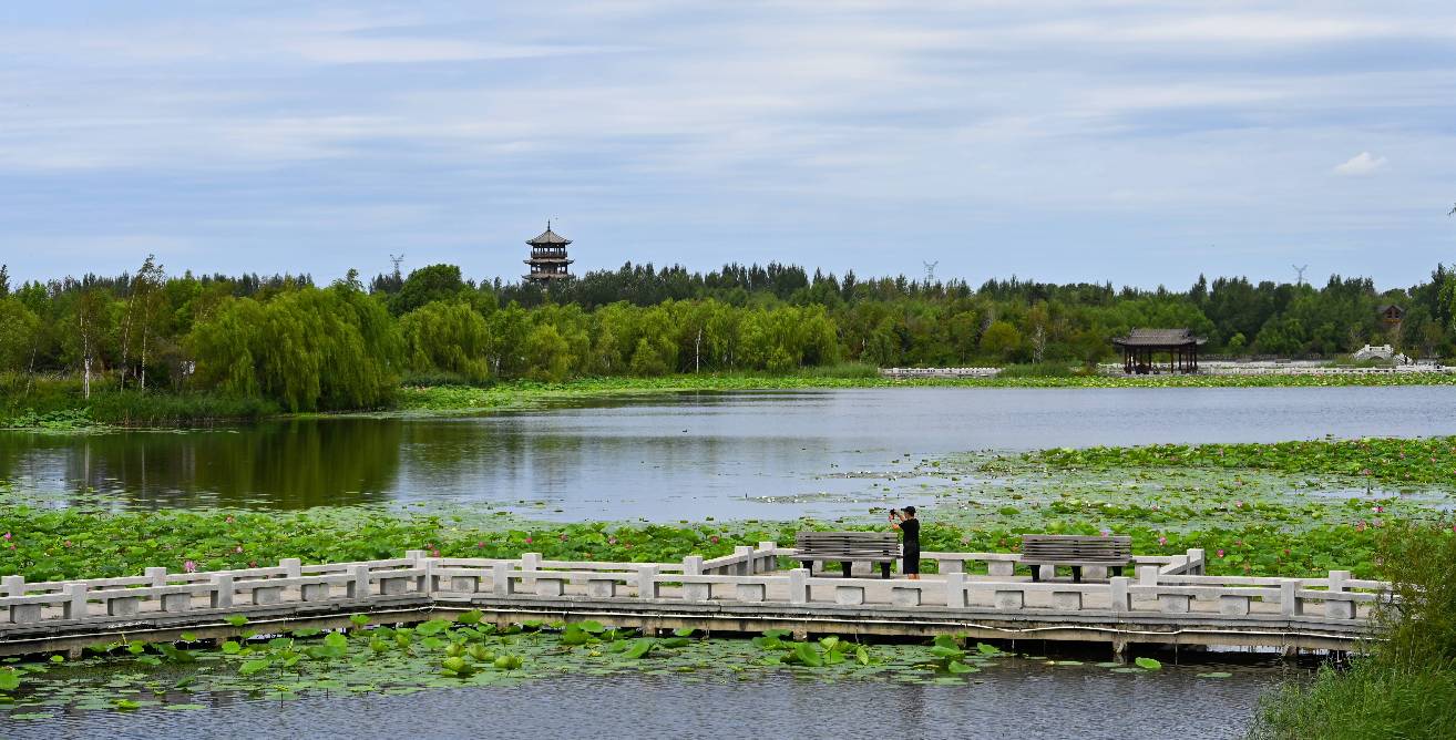 长春北湖湿地公园图片图片