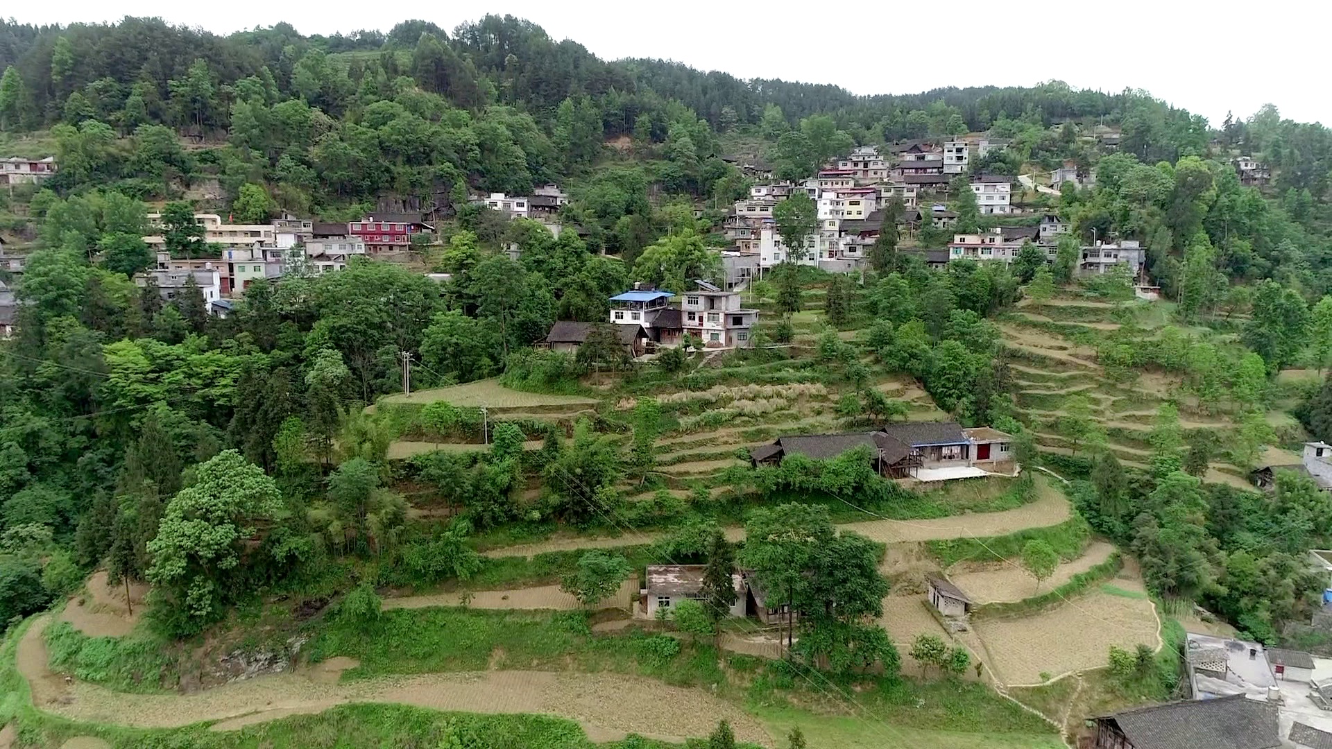 武陵山片区地处湖南,湖北,重庆和贵州四省市交界处,共有71个县,市,区