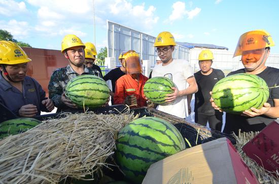 为员工发放西瓜,每人每天一个.龙杰摄