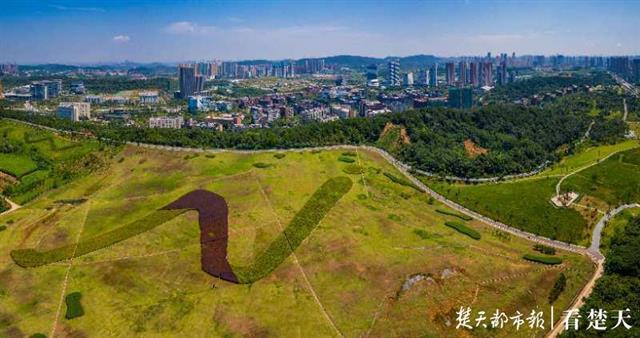 东湖新技术开发区二妃山修复后