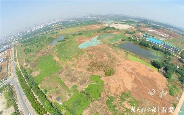 东湖新技术开发区二妃山修复前