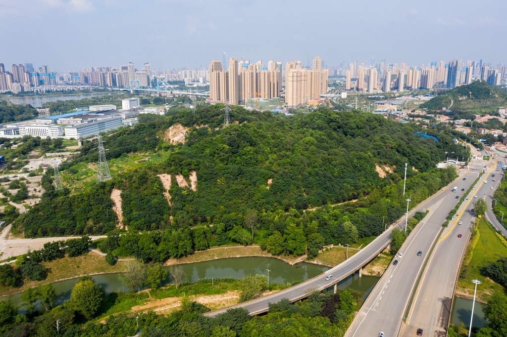 米粮山修复前"还以为就是一座自然山体呢,破山能修得无痕,手法精致啊