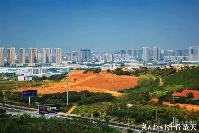 东湖新技术开发区黄龙山修复前