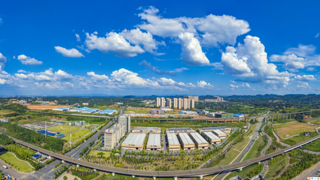 锻造新引擎抢占制高点雨花经开区坚持五大维度实施六大