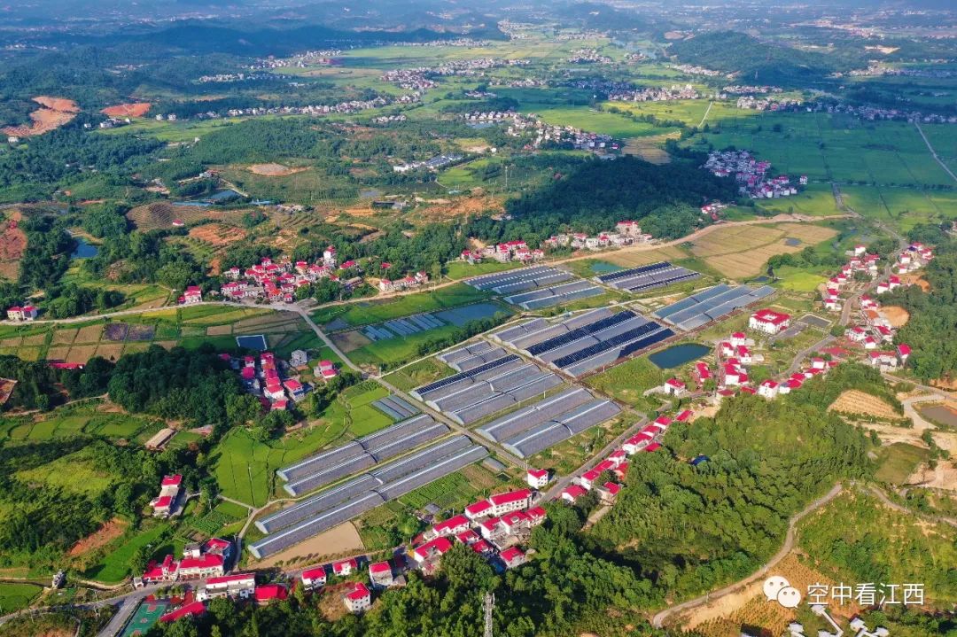 8月27日,航拍江西省萍乡市芦溪县银河镇紫溪村,一排排红顶楼房,错落有