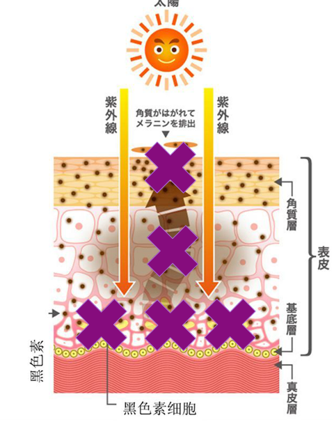 卢森堡·佰洛雅|让你与靓白肌肤，重相逢