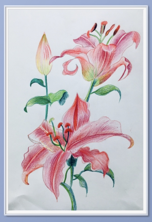 美术宝画室老师