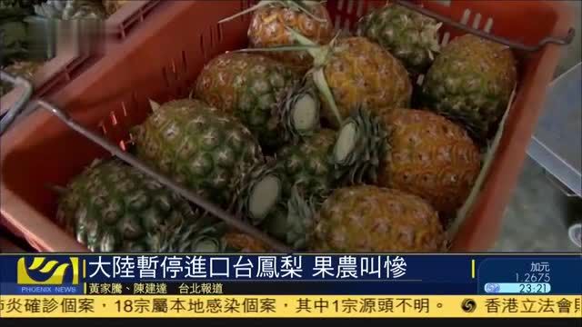 大陆暂停进口台菠萝果农叫惨