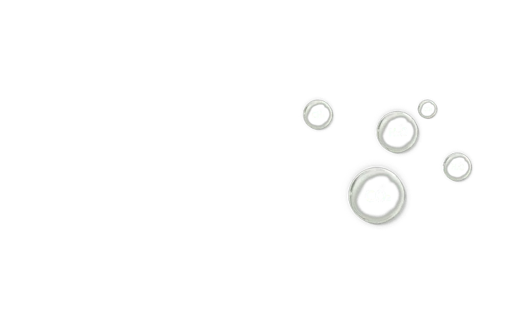 泡