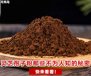 时振体育携手e签宝,电子签名助力体育教培行业数字升级