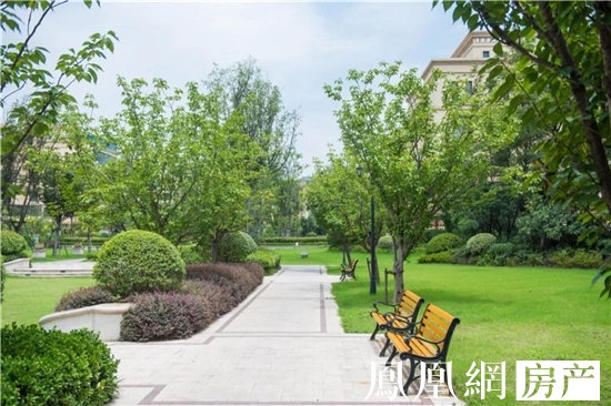 白鹭金岸初夏午后塞纳阳光给生活带来的惊喜情境