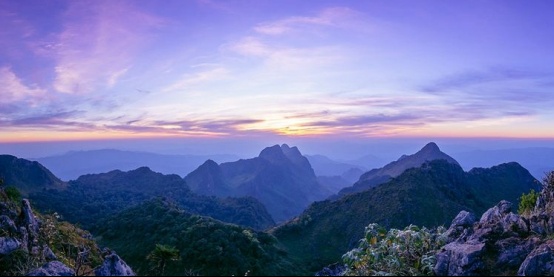 枕山记趣丨城市向往的山居生活