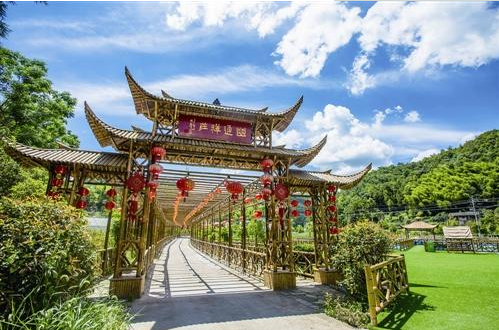 鸡山乡黄岩区澄江街道休闲公园临海市杜桥镇府前街椒江区大陈镇梅花湾