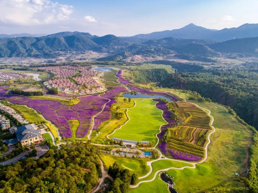 云起专访翟朝锋云南文旅要做精做强不是做大做强
