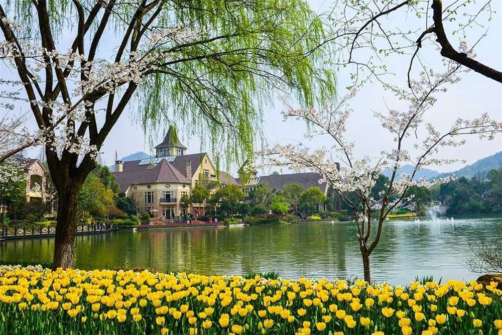 杭州新湖香格里拉图片